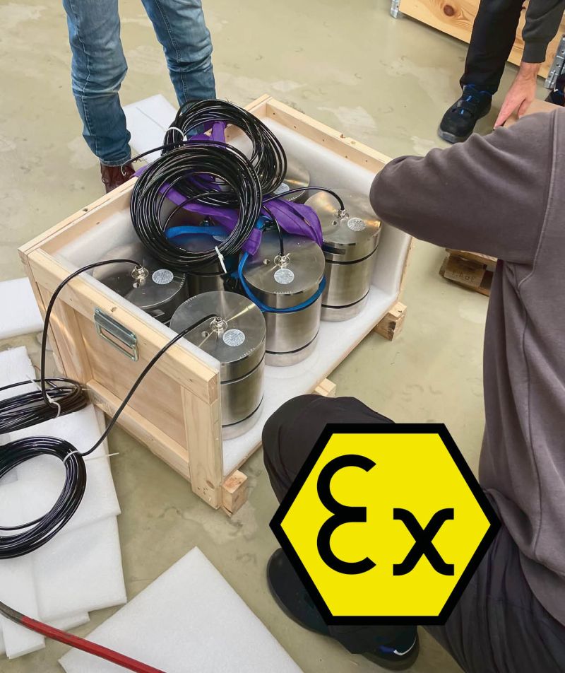 vetec-loadcell-crane-maritime-dynamometer-atex-loadpin-singapore